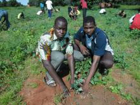 Des élèves et étudiants mettent 100 plants en terre à Bondoukuy