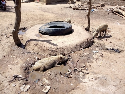 Village de Kari (Mouhoun) : Les populations manquent d’eau potable
